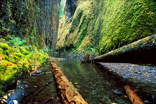 Oneonta Gorge