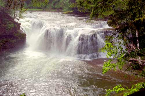 Upper Lewis River