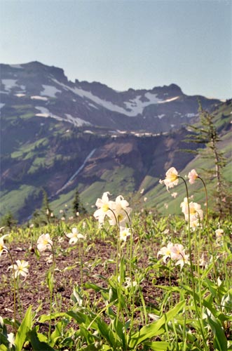 Goat Lake