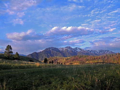 Saddle Creek/High Trail Loop